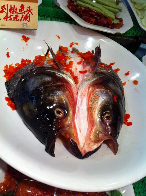 fish fish